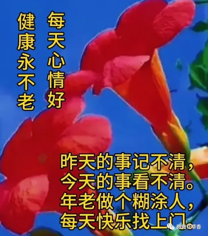 每天心情好健康永不老