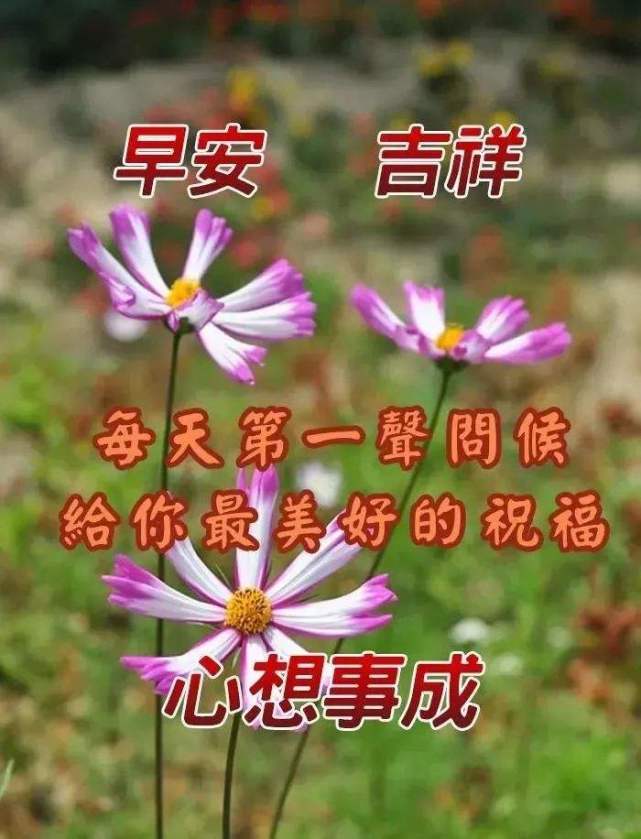 02.16"早安心语,正月十六正能量语录早上好好看