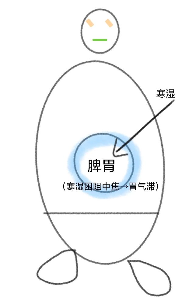 肢体沉重口淡无味,恶心呕吐脘腹胀满,不思饮食主治湿滞脾胃证燥湿运脾