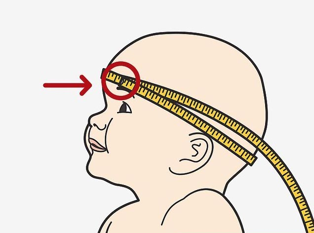 头围就是枕额径(occipitofrontal circumference, ofc),具体测量方法