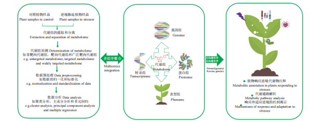 植物逆境胁迫研究中代谢组学知多少|植物|代谢组学|细胞|基因