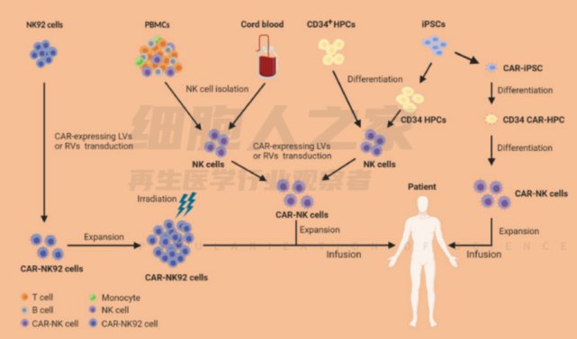 120万一针的car-t搞不定的实体瘤,改造nk细胞仅用3天消灭它!