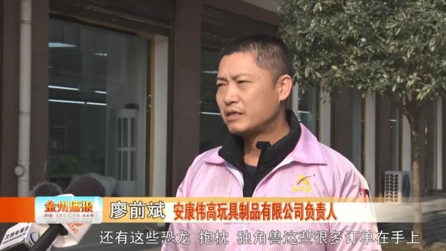 位于蒲溪镇溪畔明珠小区内的安康伟高玩具制品有限公司生产车间内,车