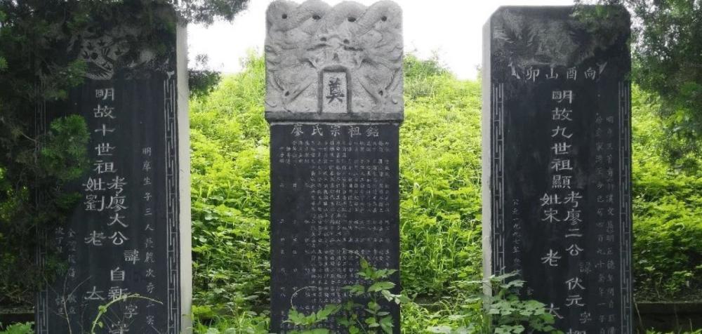 廖永安朱元璋麾下水军第一人被张士诚俘虏8年朱元璋却见死不救
