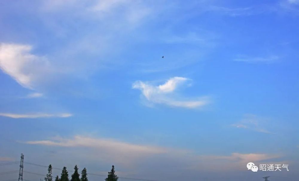 天气预报— end —来源:昭通天气记录昭通事,服务昭通人