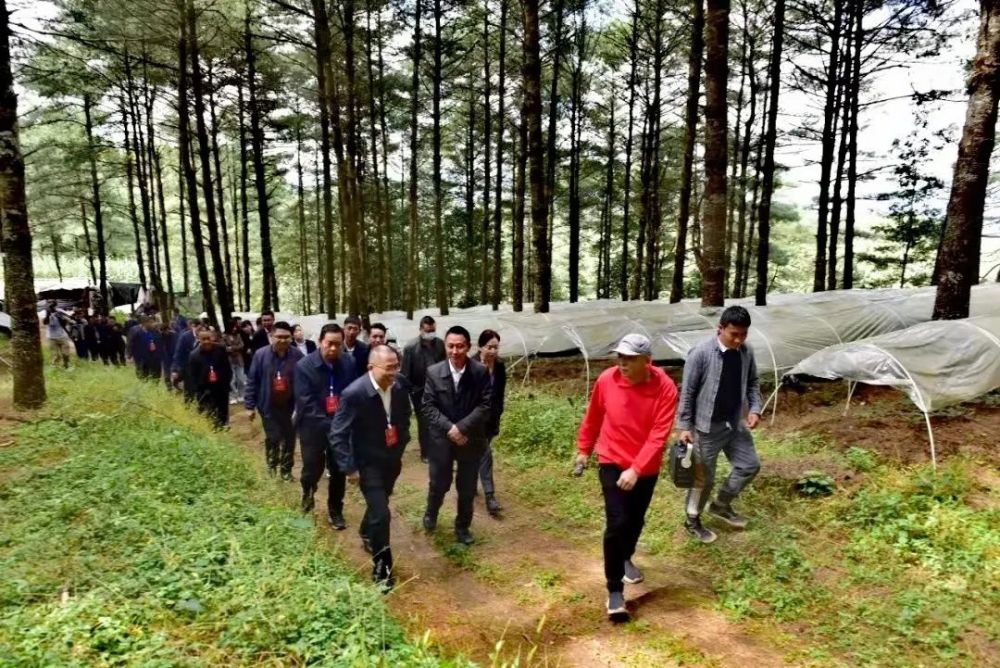 市人大代表李绍连带头,仆洪良,张世忠,陈国庆等代表同村组干部爬山
