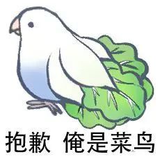 聊天斗图沙雕小鸟表情包