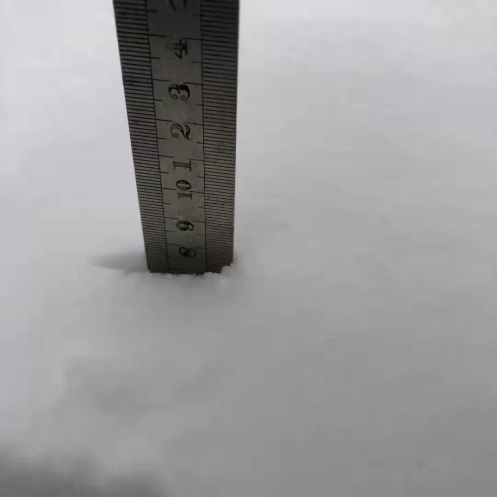 拍到了雪雪籽虽然不见雪今天的市区阴雨绵绵预计今天上午我市阴有雨