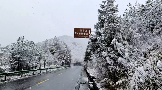 拍到了雪雪籽虽然不见雪今天的市区阴雨绵绵预计今天上午我市阴有雨