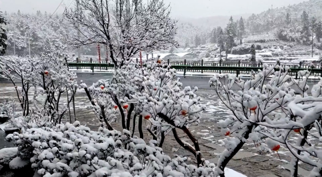 拍到了雪雪籽虽然不见雪今天的市区阴雨绵绵预计今天上午我市阴有雨