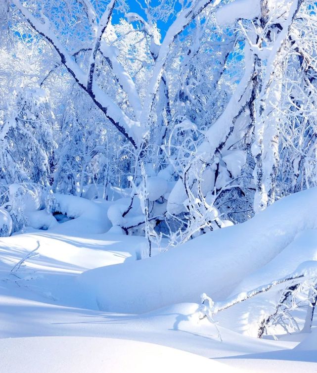 黑龙江亚雪公路冰雪情怀