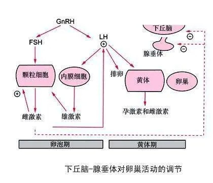 天富测速