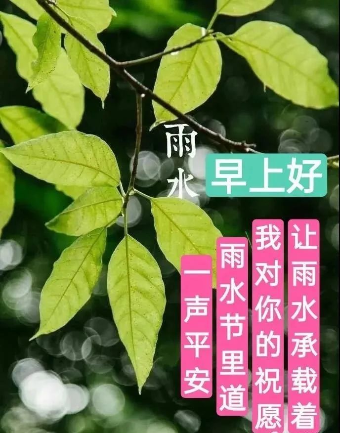 2022年2月19日雨水节气问候祝福动态表情图片正月十九早上好问候祝福