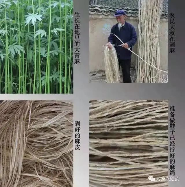 在编织制作这些生产,生活用具时,麻皮,麻绳是必不可少的原材料.
