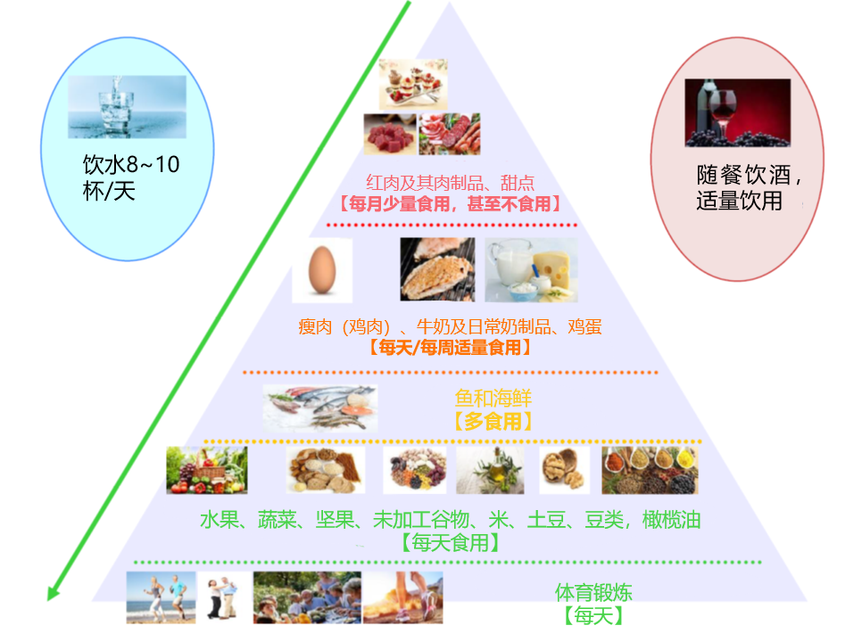 图1 传统地中海饮食金字塔参考文献:1.