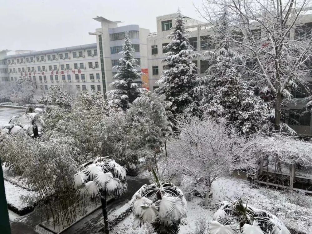 虢镇中学校园雪景