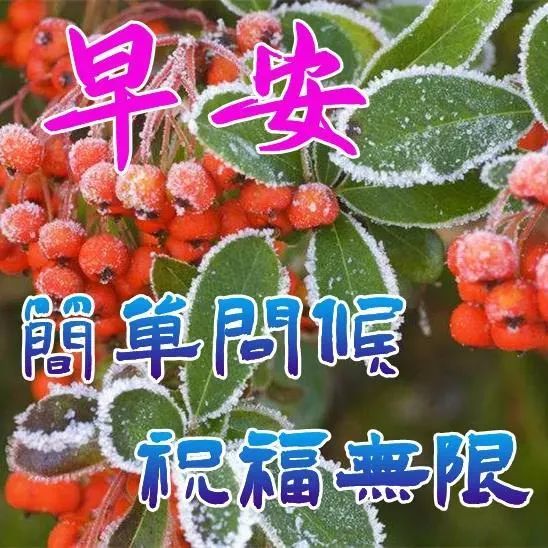 春天最新早上好问候动态表情带字正月十八早安问候高清图片带字温馨