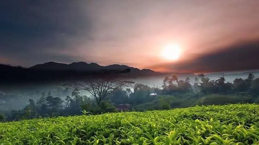安溪12座名茶山