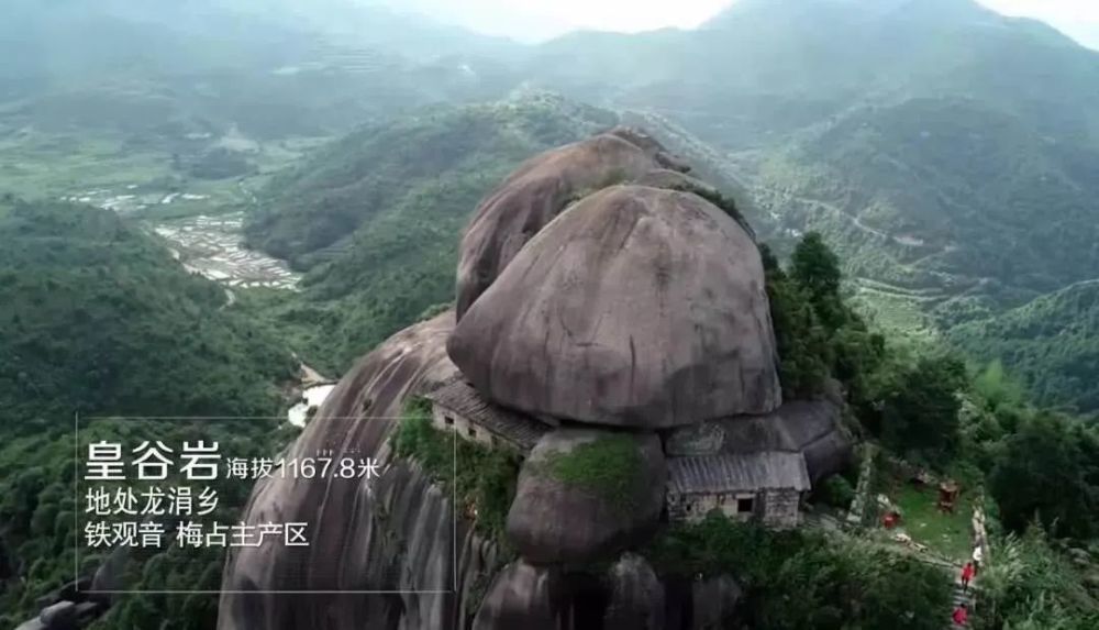 安溪12座名茶山