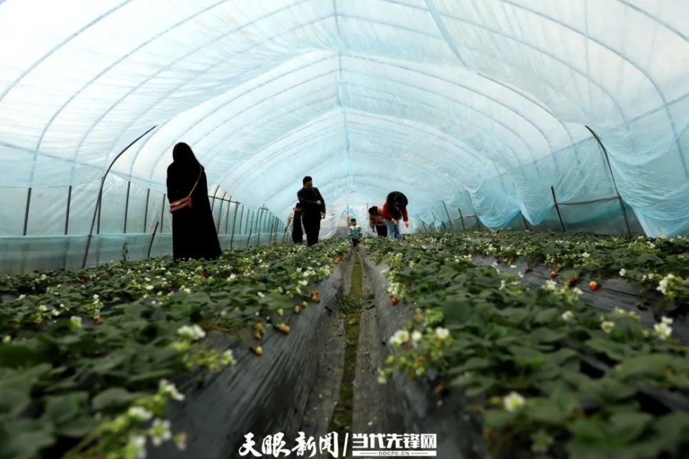 织金建设城郊莓好生活