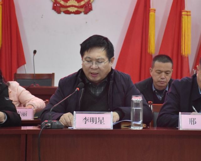 大屯镇党委书记李明星作总结讲话
