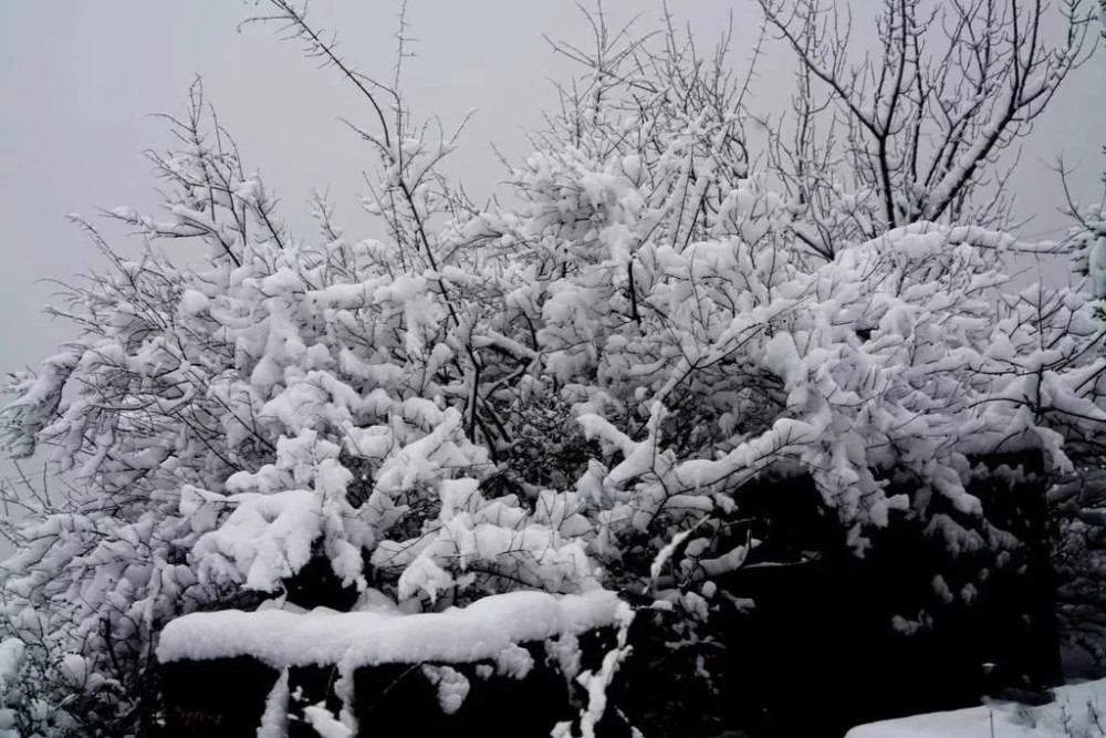 瑞雪丰年又一春东乡雪景皑皑如画