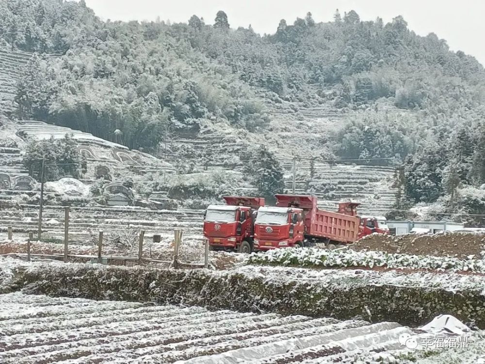 福鼎加入2022下雪群聊海量雪景大放送