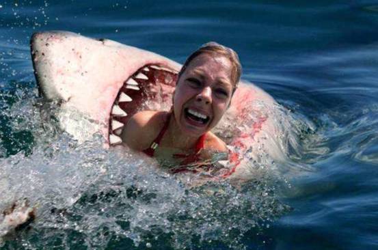 可怕澳洲又有鲨鱼吃人事件海水瞬间被染红专家与气候有关