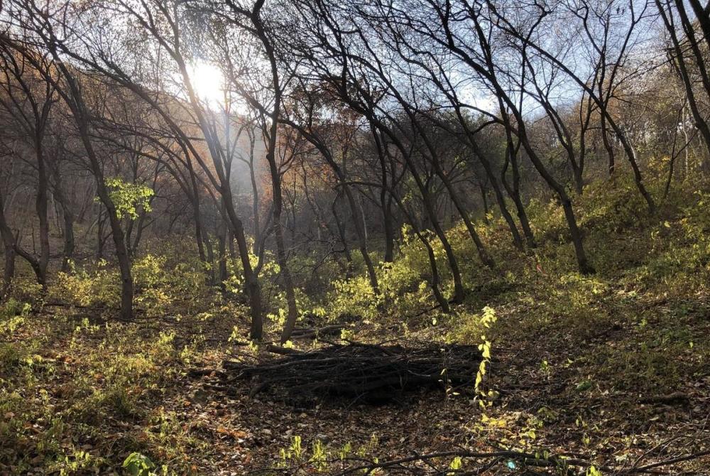 翠芳说她刚出生才5天,就被亲生父亲和奶奶丢到荒山野地的乱葬岗去了.