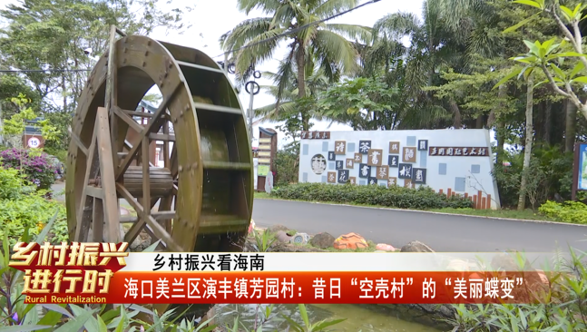 乡村振兴看海南丨海口美兰区演丰镇芳园村昔日空壳村的美丽蝶变