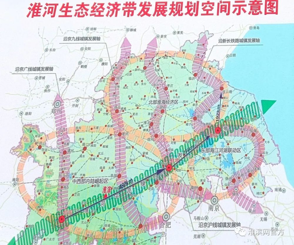 河南电视台记者来淮滨现场直播