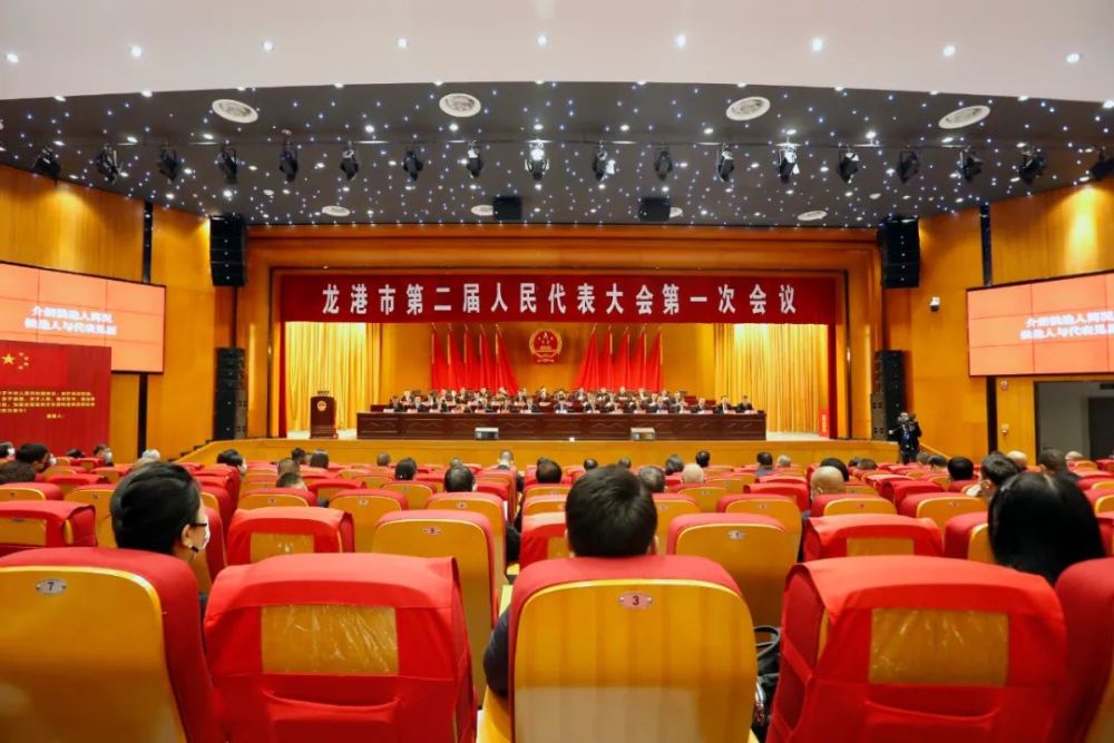 陈国苗当选为市人大常委会主任林海涵当选为市人民政府