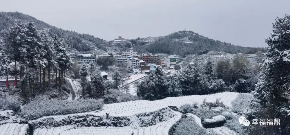 今天福鼎的雪下得很认真