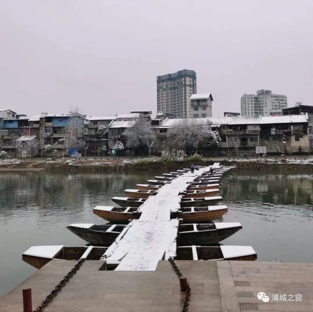 下雪了下雪了浦城终于下雪了上百张雪景美图刷屏朋友圈快来认领留念