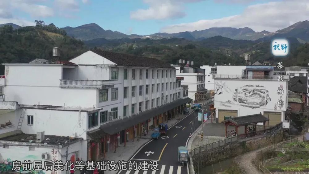 点头柏柳村的茶韵