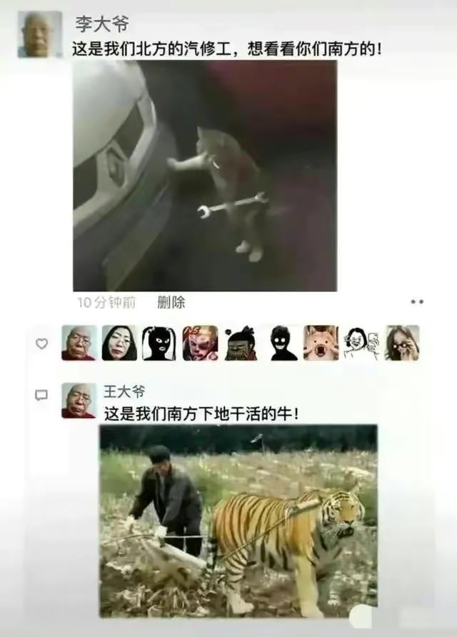 王大爷神回复合集