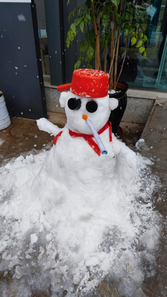 太有才了楚雄市民花式堆雪人大赛开赛快看看谁的创意最拉风