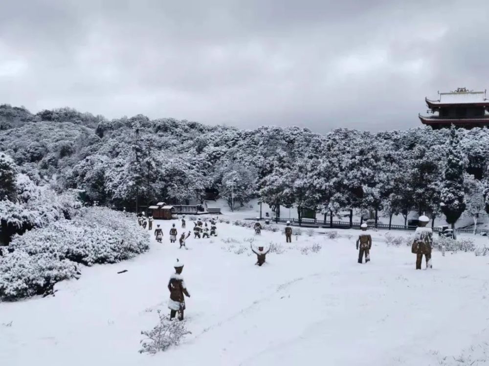 春雪纷飞染冬色黔地皑皑似北国