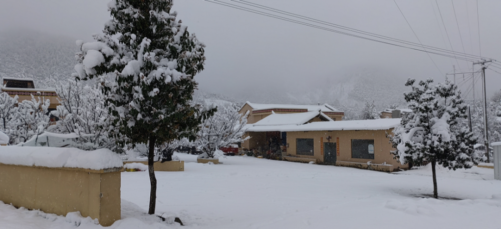 下雪啦朋友圈里欢乐多一大波雪人和美景向你袭来