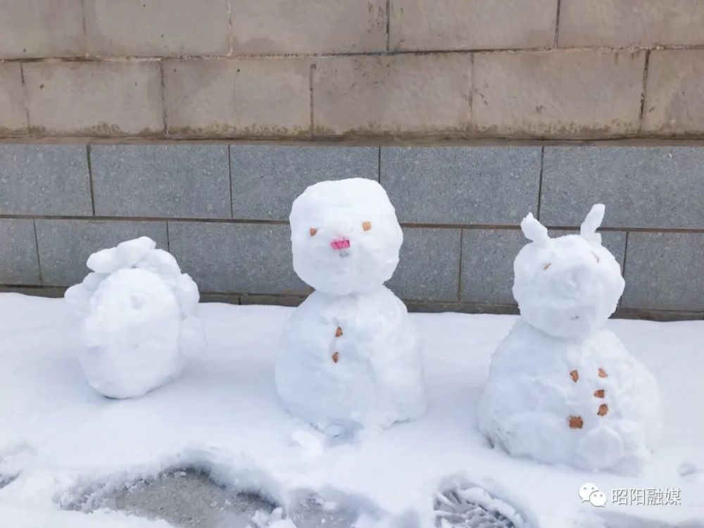 昭通昭阳市民堆雪人大赛开始啦这造型绝了