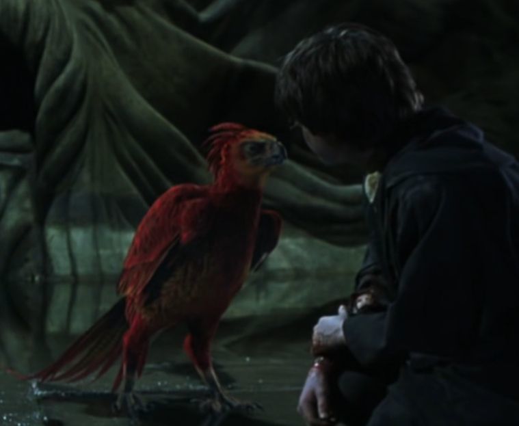 哈利波特魔法觉醒凤凰有新皮肤了讲述不死鸟的前世今生
