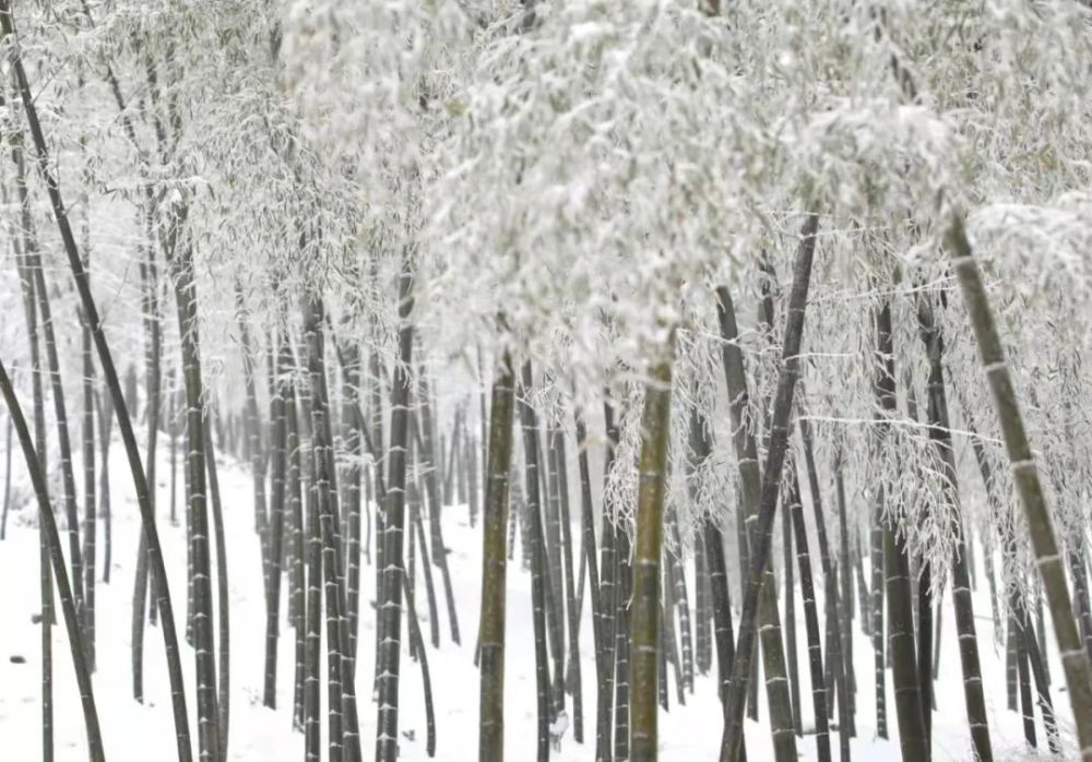 耒阳雪景如人间仙境