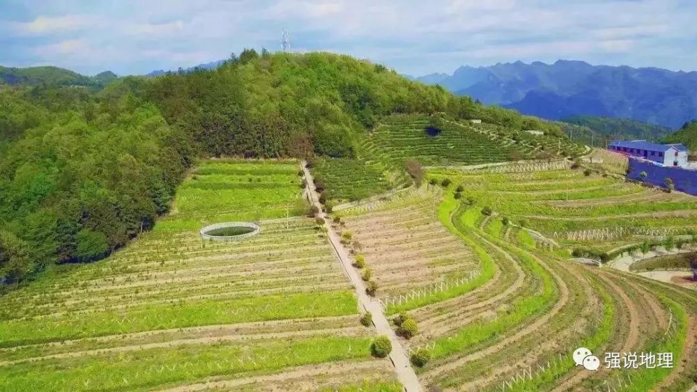 坡耕地上的种植方式主要有两种(如下图所示):一种是横坡垄作,即垄的