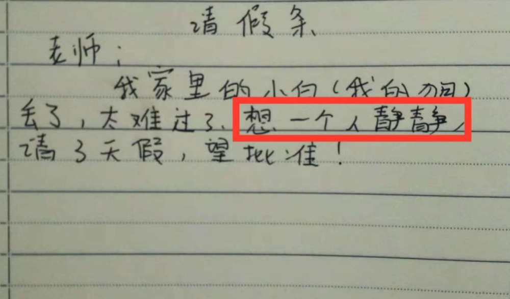 小学生请假条有猫腻明天肚子痛也知道老师看后笑笑不说话