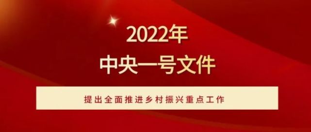 关于做好2022年全面推进乡村振兴重点工作的意见(2022年1月4日)当前