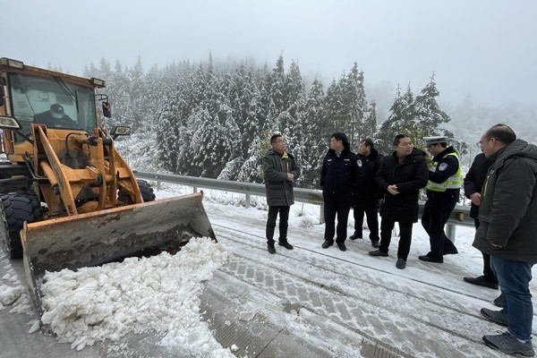 杨友忠深入金陵镇督导恶劣天气道路交通安全应对与电力