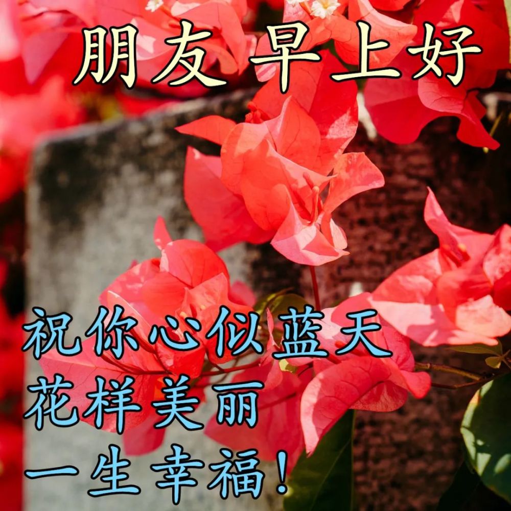 最美早晨好问候表情图片带字温馨最新版早安短信问候祝福语
