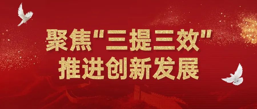 为深入贯彻落实省委"提高效率,提升效能,提增效益"行动部署和市委,区