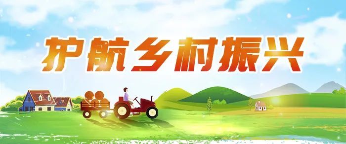 《关于加强巩固拓展脱贫攻坚成果同乡村振兴有效衔接资金监督工作的