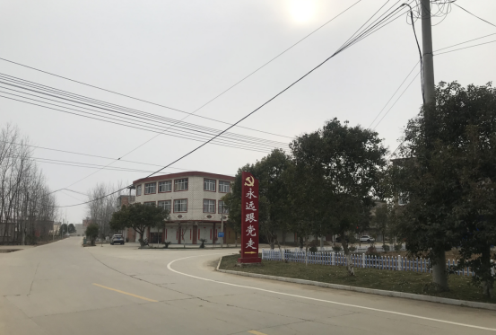 在固始县杨集乡街道,映入眼帘的是干净整洁的道路,修葺整齐的行道树和